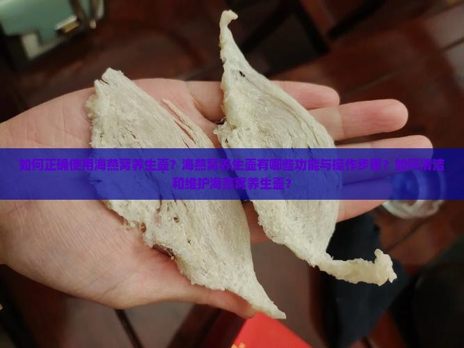 如何正确使用海燕窝养生壶？海燕窝养生壶有哪些功能与操作步骤？如何清洁和维护海燕窝养生壶？