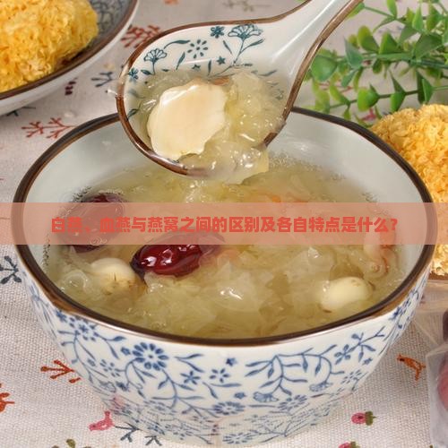 白燕、血燕与燕窝之间的区别及各自特点是什么？