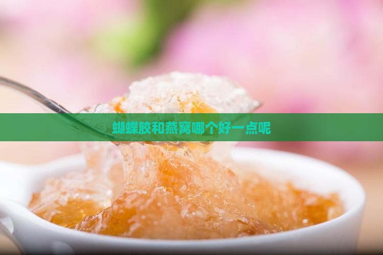 蝴蝶胶和燕窝哪个好一点呢