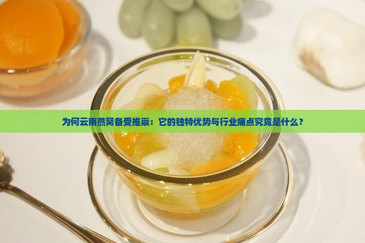 为何云南燕窝备受推崇：它的独特优势与行业痛点究竟是什么？