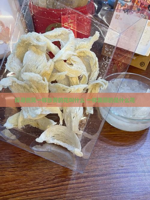 探寻燕窝一样珍贵的花叫什么 一样美丽的是什么花