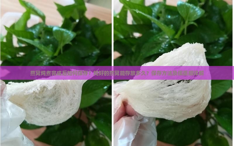 燕窝炖煮完成后如何保存？炖好的燕窝能存放多久？保存方法及保质期详解