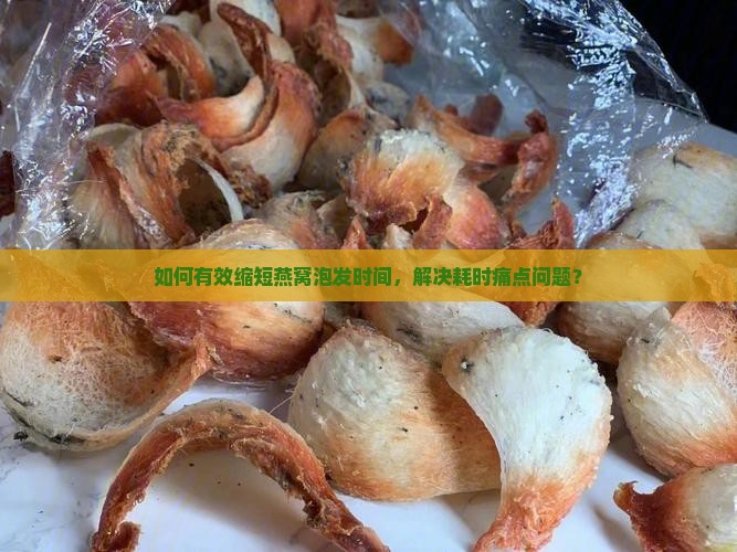 如何有效缩短燕窝泡发时间，解决耗时痛点问题？