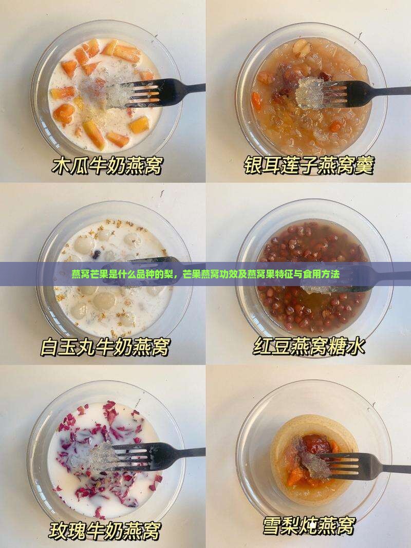 燕窝芒果是什么品种的梨，芒果燕窝功效及燕窝果特征与食用方法