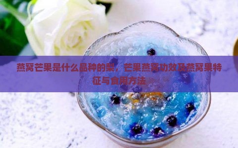 燕窝芒果是什么品种的梨，芒果燕窝功效及燕窝果特征与食用方法