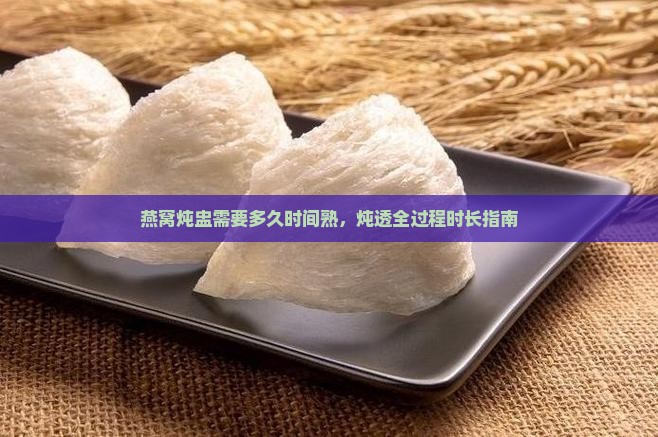 燕窝炖盅需要多久时间熟，炖透全过程时长指南
