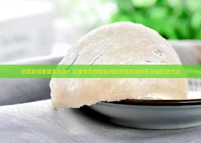 燕窝发霉变质怎么办？品鉴专家教你如何处理燕窝霉味及正确处理方法