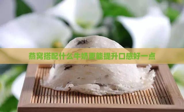 燕窝搭配什么牛奶更能提升口感好一点