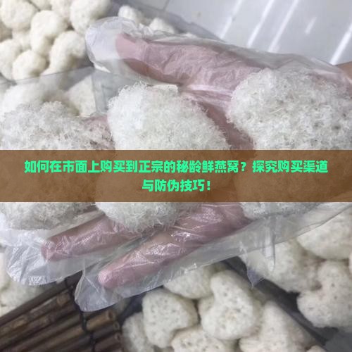 如何在市面上购买到正宗的秘龄鲜燕窝？探究购买渠道与防伪技巧！