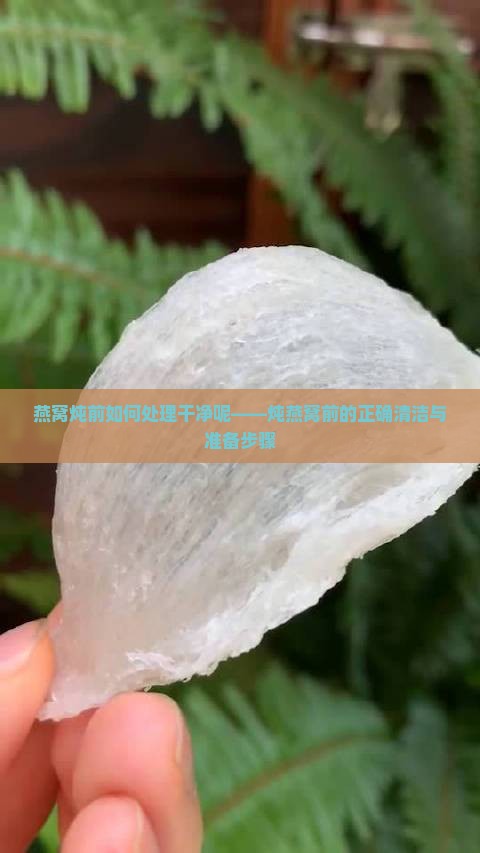 燕窝炖前如何处理干净呢——炖燕窝前的正确清洁与准备步骤