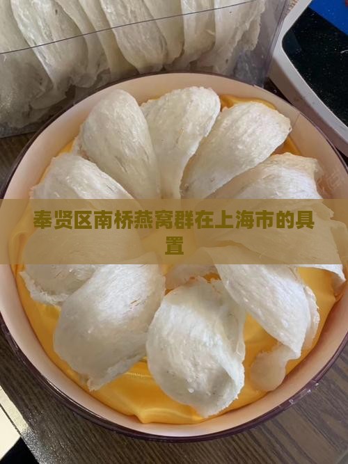 奉贤区南桥燕窝群在上海市的具置
