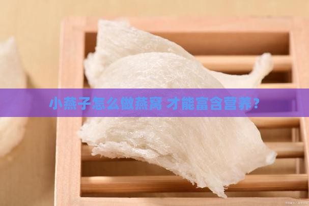 小燕子怎么做燕窝 才能富含营养？