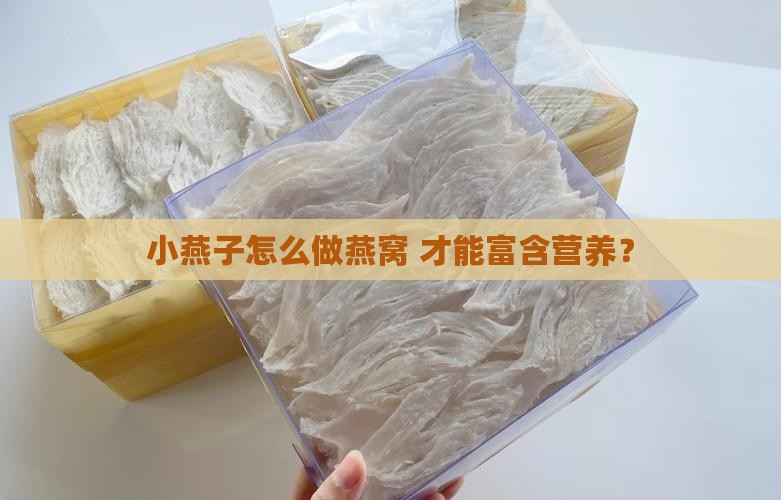 小燕子怎么做燕窝 才能富含营养？