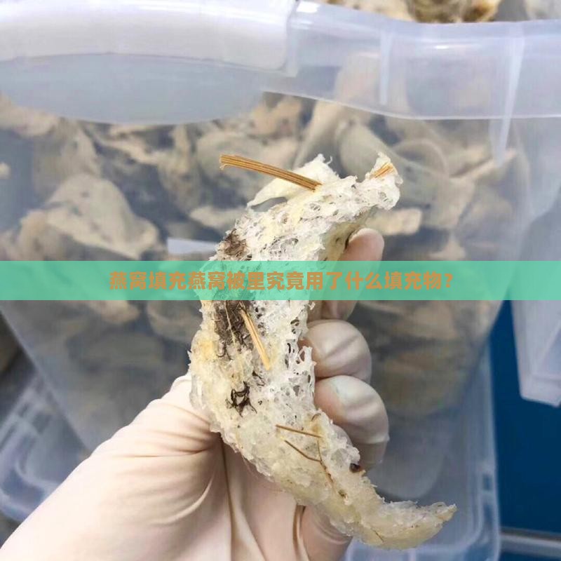 燕窝填充燕窝被里究竟用了什么填充物？