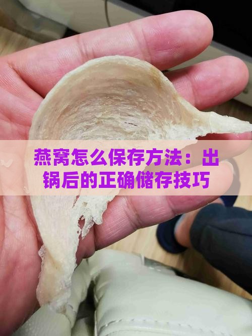 燕窝怎么保存方法：出锅后的正确储存技巧
