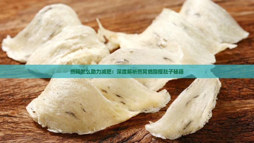 燕窝怎么助力减肥：深度解析燕窝燃脂瘦肚子秘籍