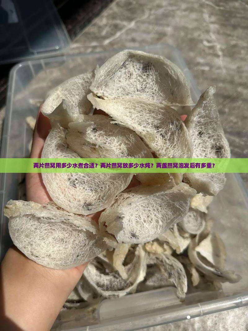 两片燕窝用多少水煮合适？两片燕窝放多少水炖？两盏燕窝泡发后有多重？