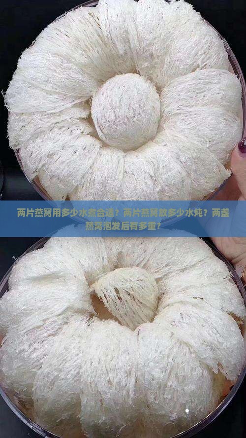 两片燕窝用多少水煮合适？两片燕窝放多少水炖？两盏燕窝泡发后有多重？