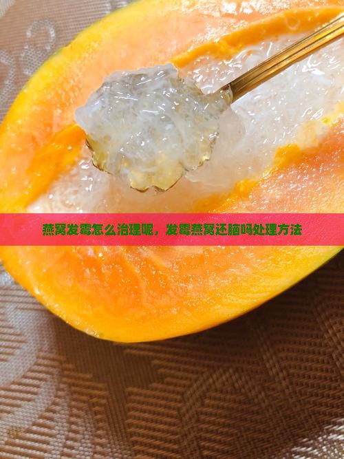 燕窝发霉怎么治理呢，发霉燕窝还脑吗处理方法