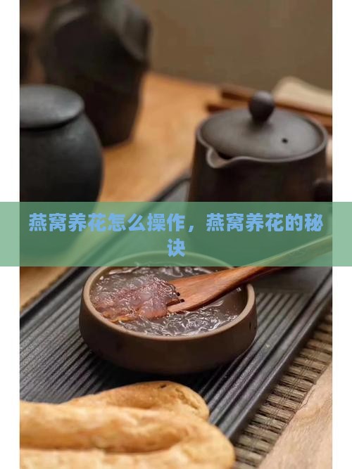 燕窝养花怎么操作，燕窝养花的秘诀