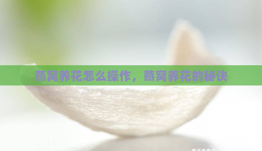 燕窝养花怎么操作，燕窝养花的秘诀