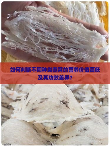 如何判断不同种类燕窝的营养价值高低及其功效差异？