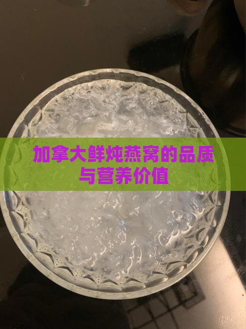 加拿大鲜炖燕窝的品质与营养价值