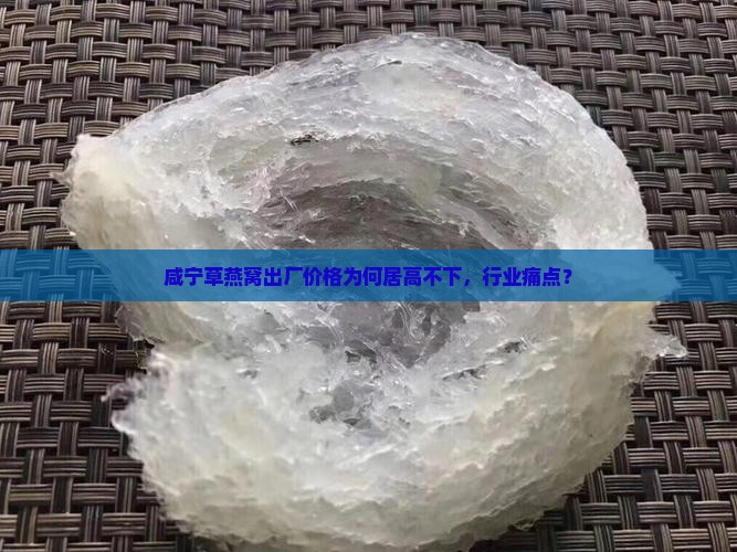 咸宁草燕窝出厂价格为何居高不下，行业痛点？