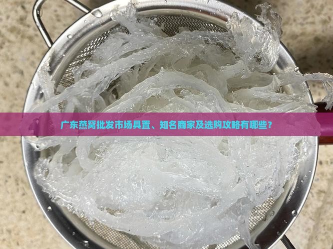 广东燕窝批发市场具置、知名商家及选购攻略有哪些？