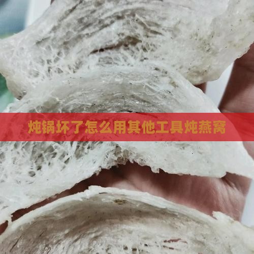 炖锅坏了怎么用其他工具炖燕窝