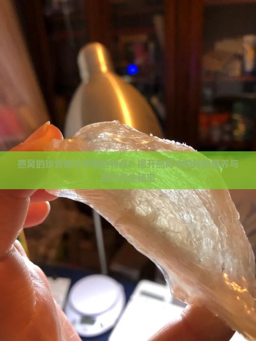 燕窝的珍贵成分有哪些特点？揭开燕窝中的稀缺营养与现代养生秘密