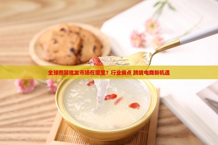 全球燕窝批发市场在哪里？行业痛点+跨境电商新机遇
