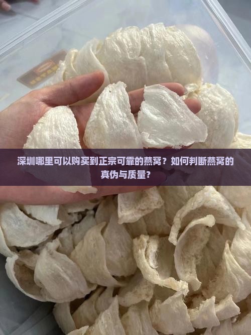 深圳哪里可以购买到正宗可靠的燕窝？如何判断燕窝的真伪与质量？