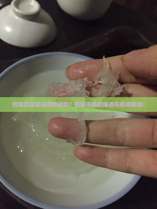燕窝究竟象征哪种动物？燕窝市场的痛点与热词新词！