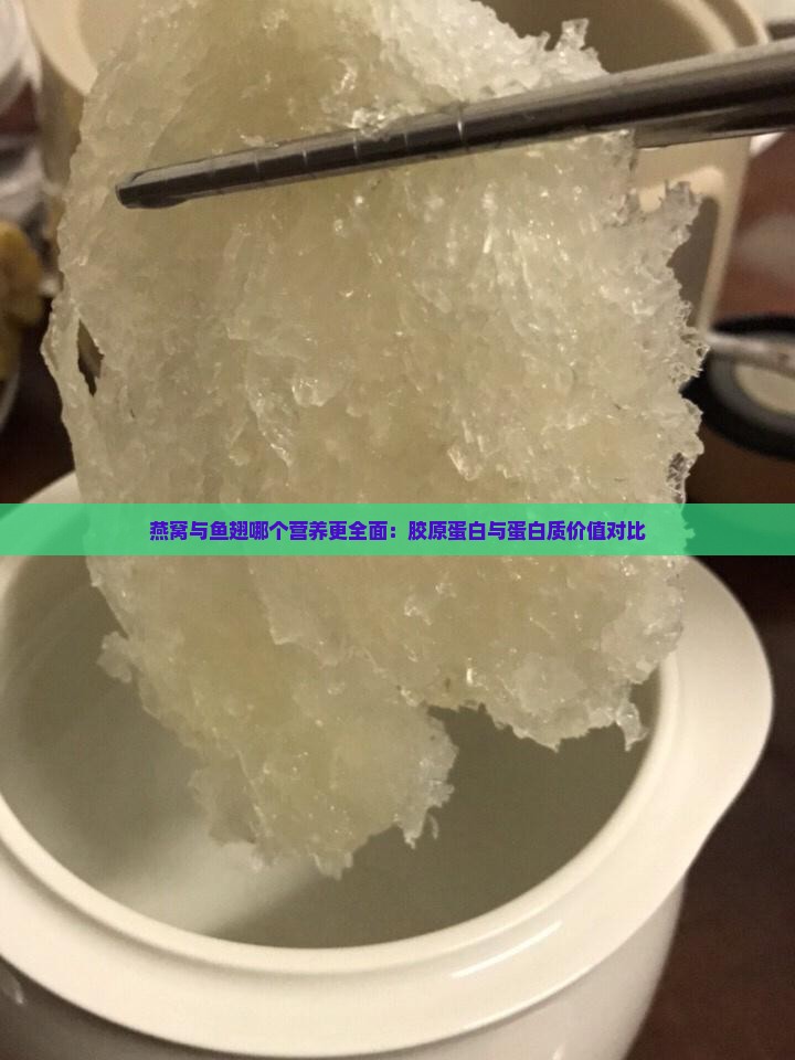 燕窝与鱼翅哪个营养更全面：胶原蛋白与蛋白质价值对比