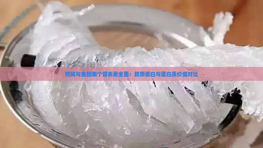 燕窝与鱼翅哪个营养更全面：胶原蛋白与蛋白质价值对比