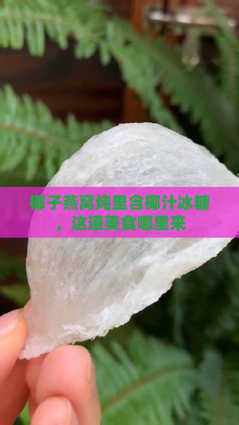 椰子燕窝炖里含椰汁冰糖，这道美食哪里来