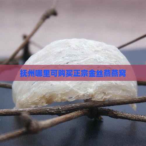 抚州哪里可购买正宗金丝燕燕窝