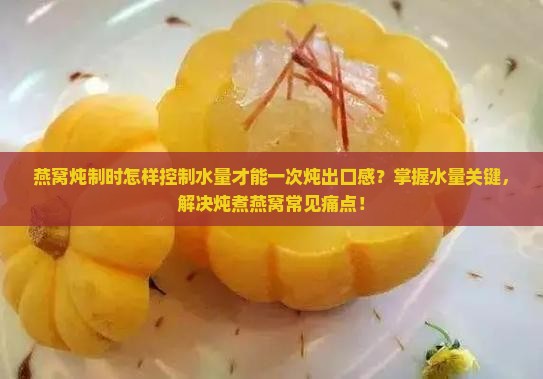 燕窝炖制时怎样控制水量才能一次炖出口感？掌握水量关键，解决炖煮燕窝常见痛点！