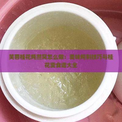 芙蓉桂花炖燕窝怎么做：美味炖制技巧与桂花羹食谱大全