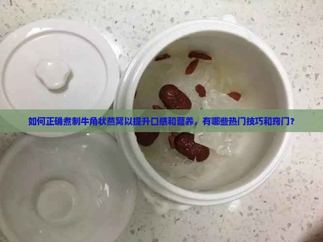 如何正确煮制牛角状燕窝以提升口感和营养，有哪些热门技巧和窍门？