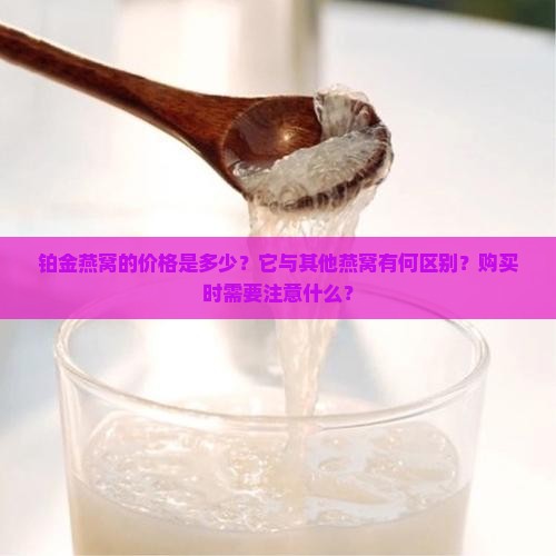 铂金燕窝的价格是多少？它与其他燕窝有何区别？购买时需要注意什么？