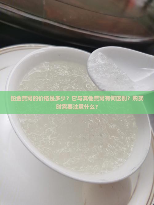 铂金燕窝的价格是多少？它与其他燕窝有何区别？购买时需要注意什么？