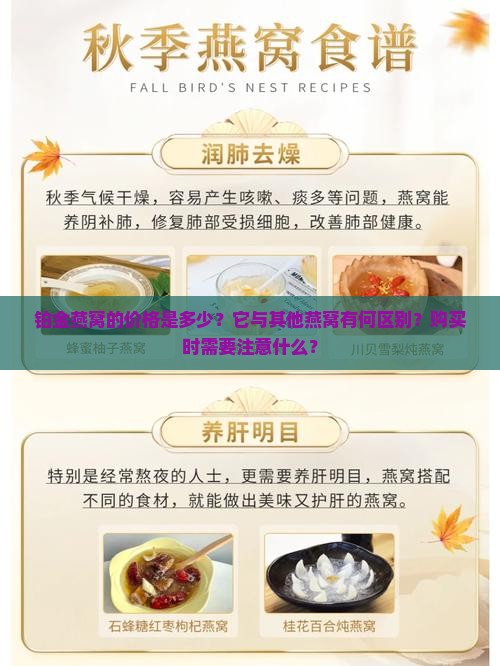 铂金燕窝的价格是多少？它与其他燕窝有何区别？购买时需要注意什么？