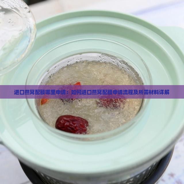 进口燕窝配额哪里申请：如何进口燕窝配额申请流程及所需材料详解