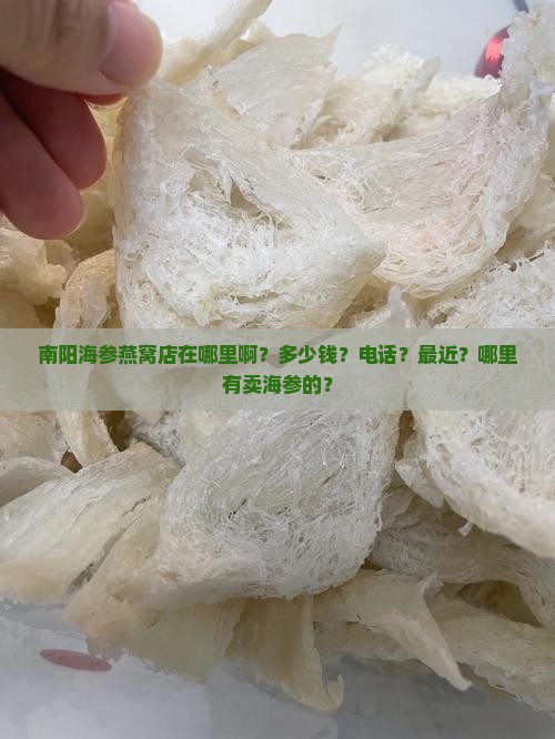 南阳海参燕窝店在哪里啊？多少钱？电话？最近？哪里有卖海参的？