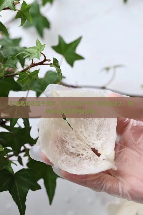 即食燕窝还是干燕窝，哪个更胜一筹？养生知识大：营养价值和实用性的对比