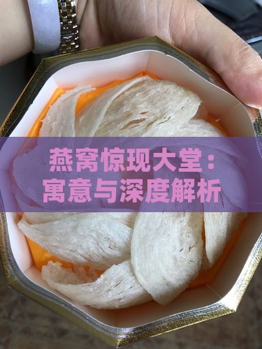燕窝惊现大堂：寓意与深度解析
