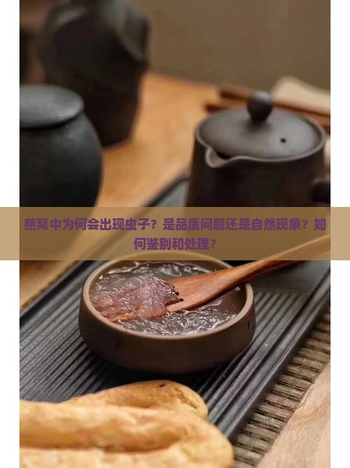 燕窝中为何会出现虫子？是品质问题还是自然现象？如何鉴别和处理？