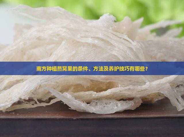 南方种植燕窝果的条件、方法及养护技巧有哪些？